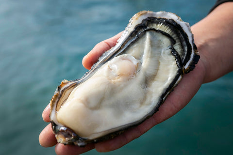 蠔類