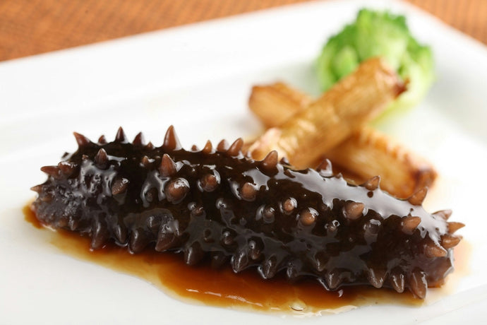 海參料理推薦｜海參怎麼煮才好吃？炒什麼好吃？附簡易湯食譜
