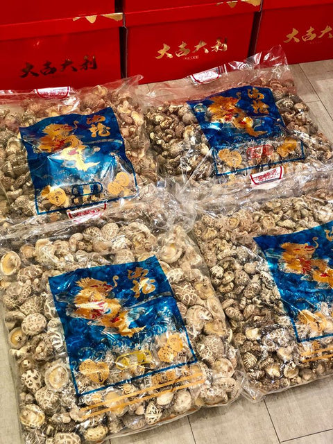 永遠的經典 日本海龍菇