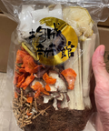 竹蔗茅根馬蹄水 (非洲海底椰升級版)