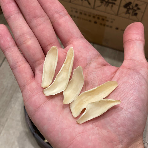 無磺百合