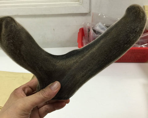 鹿茸