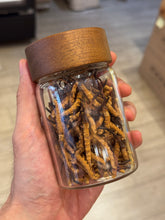 將圖片載入圖庫檢視器 蟲草
