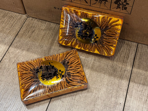  Cordyceps_sinensis box1