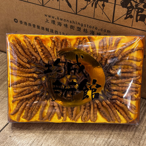  Cordyceps_sinensis box3