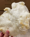 特級爆碟魚肚