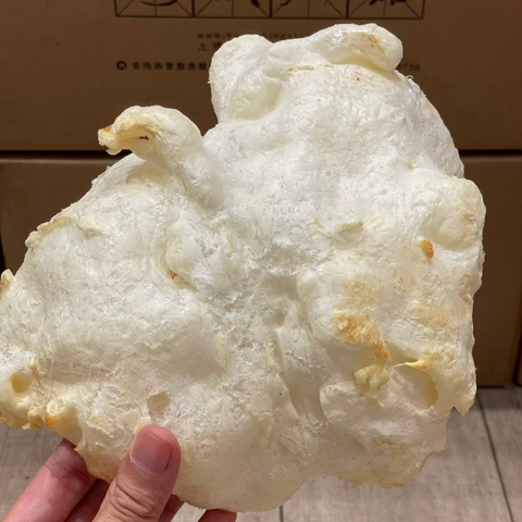 特級爆碟魚肚