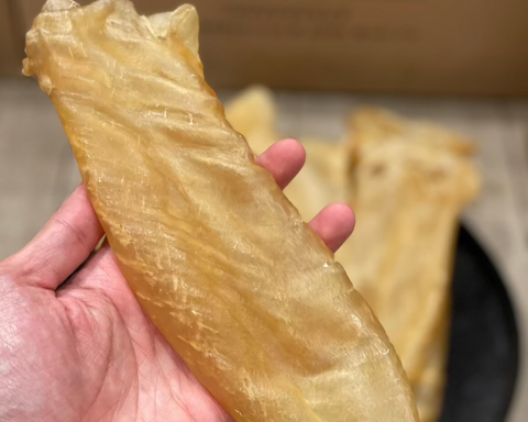澳洲金龍肚