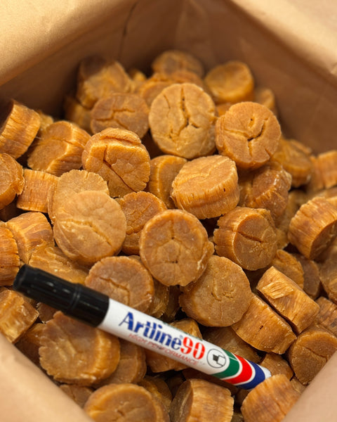 北海道超級珍寶GL元貝 #38010