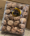 日本茶花厚菇