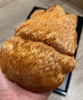 野生猴頭菇