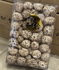  日種白花寸菇