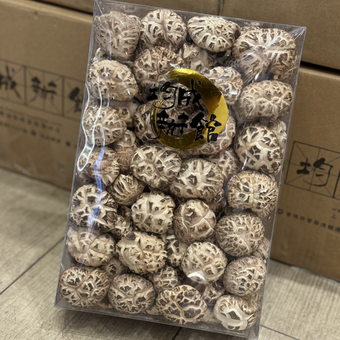  日種白花寸菇