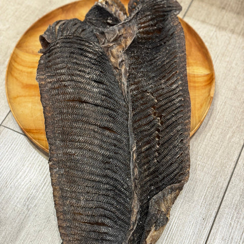膨魚鰓
