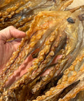 特大章魚