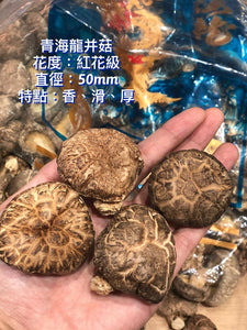 日本海龍牌青龍厚並菇