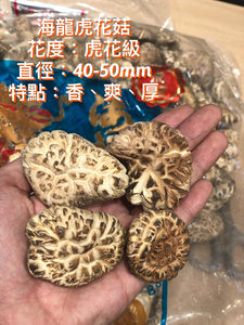日本海龍虎花菇