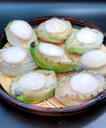 青邊鮑