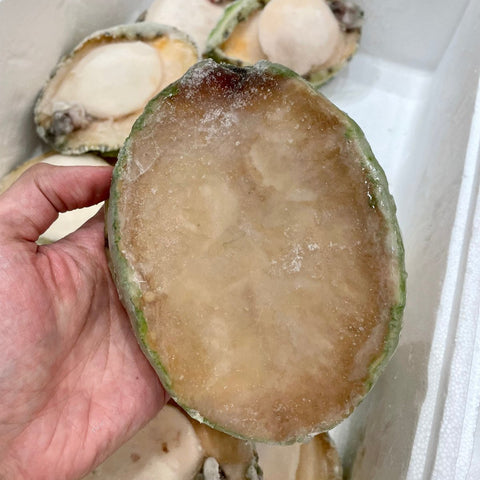 珍寶青邊鮑