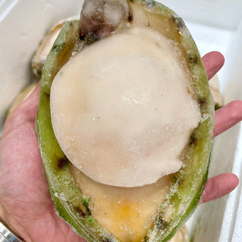 超超珍寶青邊鮑