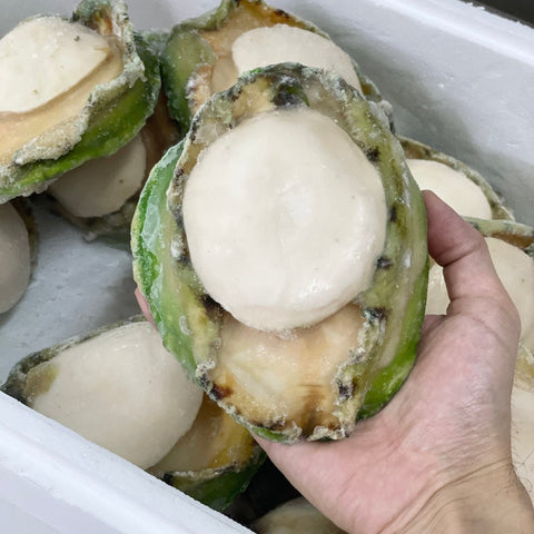 珍寶青邊鮑
