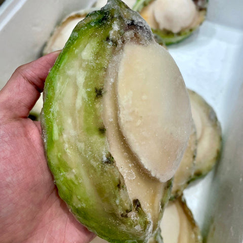 珍寶青邊鮑