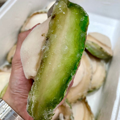 珍寶青邊鮑