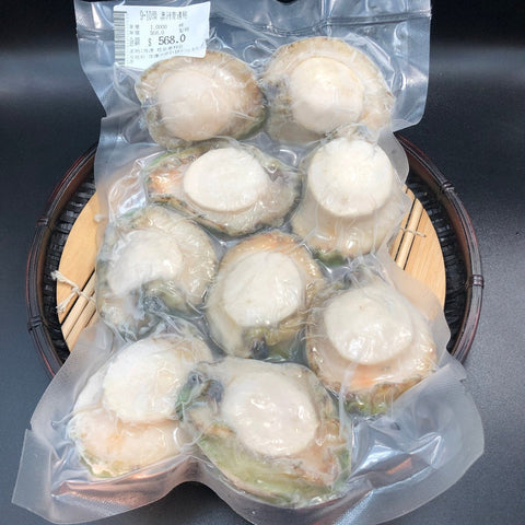 青邊鮑