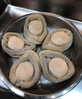 南非鑽石鮑 清湯