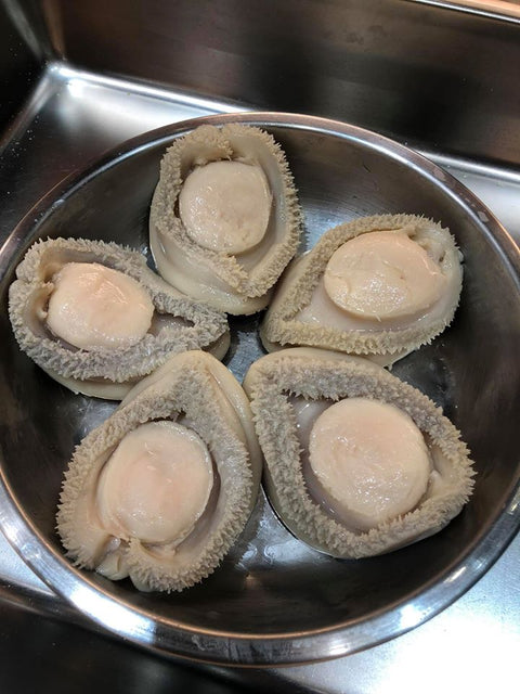 南非鑽石鮑 清湯