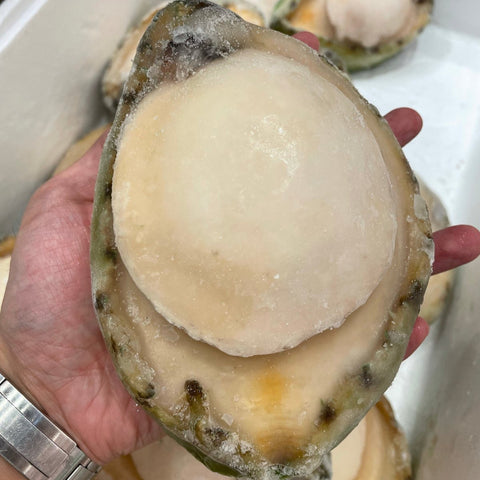 超珍寶青邊鮑