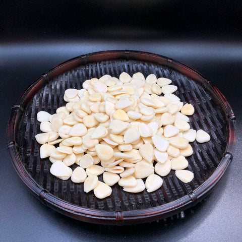 特大龍王南杏