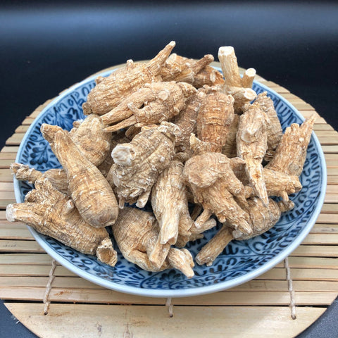 美國花旗蔘 (尾泡)