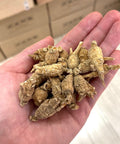 頂級泡參