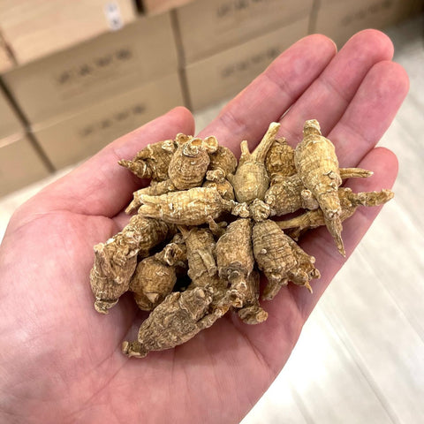 頂級泡參