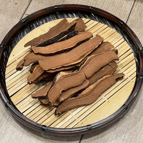 黑靈芝