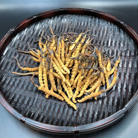 西藏珍品冬蟲草