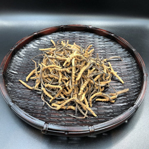 精選蟲草