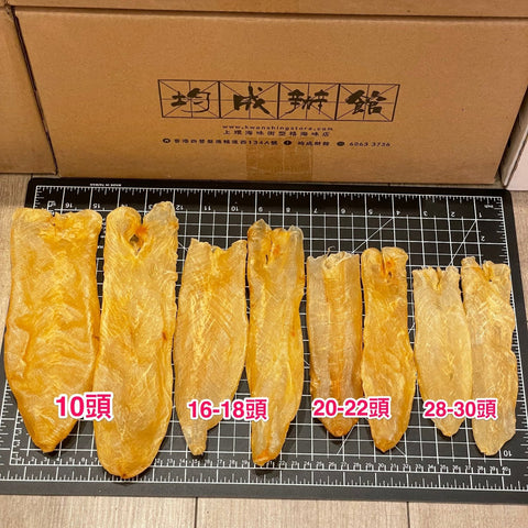 澳洲金龍肚