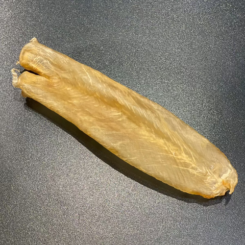 澳洲金龍肚