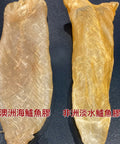 澳洲金龍肚