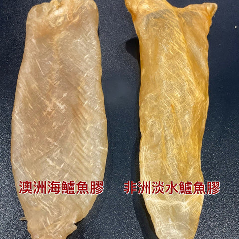 澳洲金龍肚