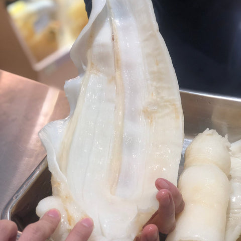 扎膠公肚