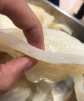 扎膠公