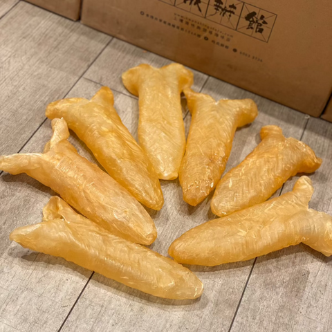 7-8頭花膠筒
