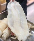 9-10扎膠公