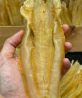 扎膠公