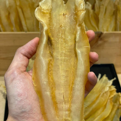 扎膠公