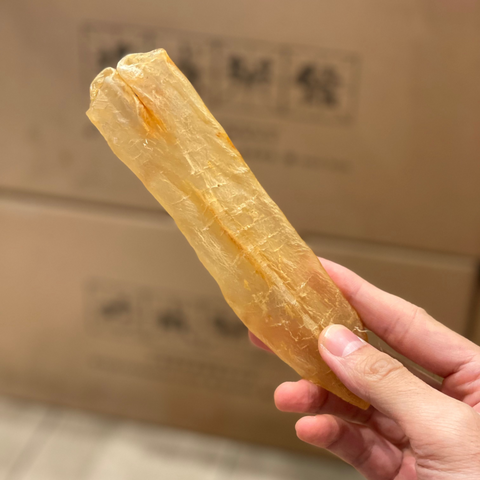 澳洲金龍肚