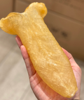 7-8頭花膠筒